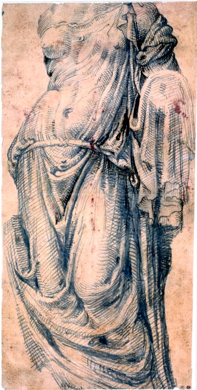 Roman goddess, Venus Genetrix by Maerten van Heemskerck