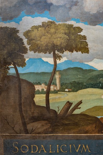 Detail of the City of Vicenza by Marcello Fogolino