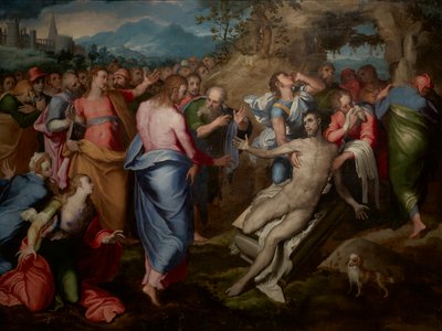 The Resurrection of Lazarus by Marco Pino