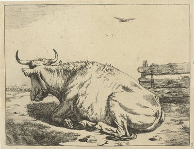Cow Lying by Fence (Cattle) by Marcus de Bye