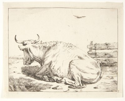 Lying Cow by Marcus de Bye