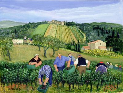 Vineyard, Olives and Sunflowers by Margaret Loxton