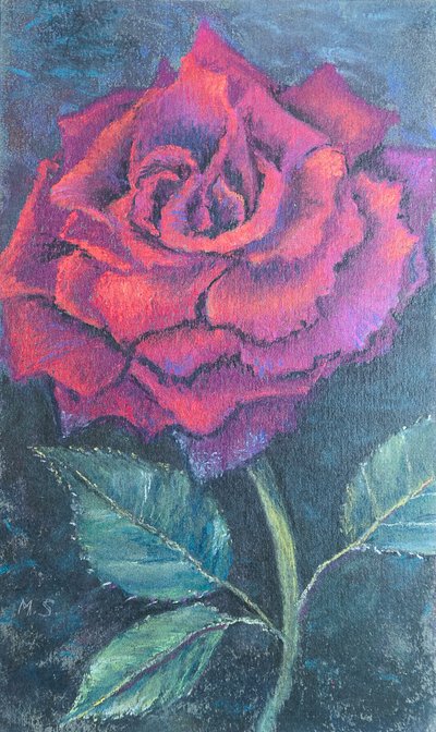 Beauty of the rose by Margo Starkey