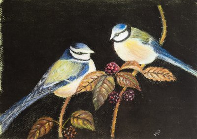 Blue tits having a feast by Margo Starkey