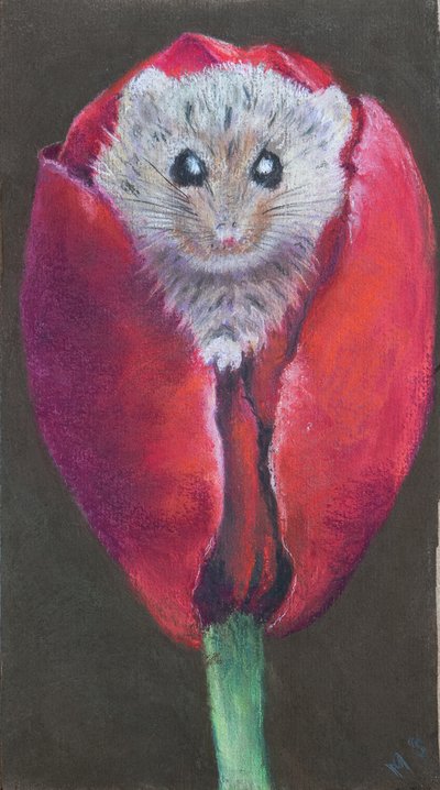 Door mouse in tulip, 2022 by Margo Starkey