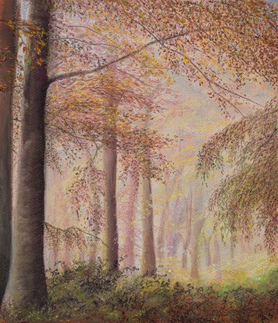 Misty woods by Margo Starkey