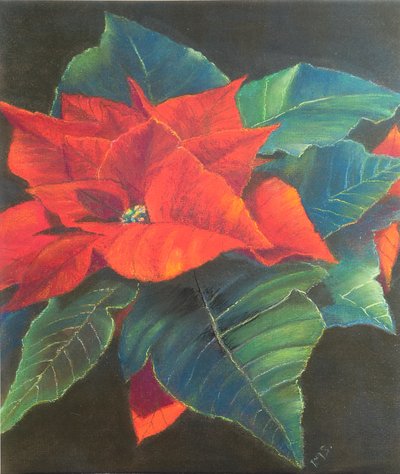 Poinsettia, 2022 by Margo Starkey