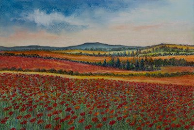 Poppy fields..Flanders by Margo Starkey