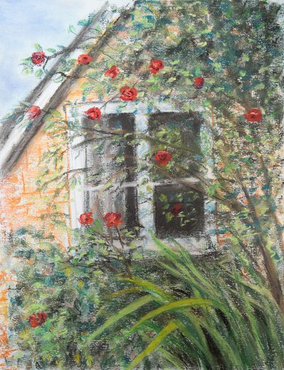 Roses over window by Margo Starkey