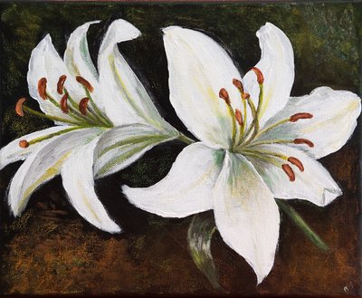 White Lily, 2022 by Margo Starkey