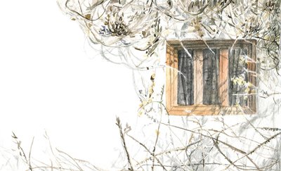 Spaces and Plants by Maria Basea