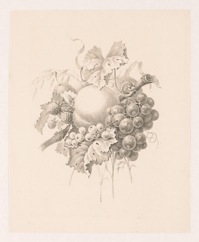 Composition of Fruits by Maria Geertruida de Goeje Barbiers (attributed to)