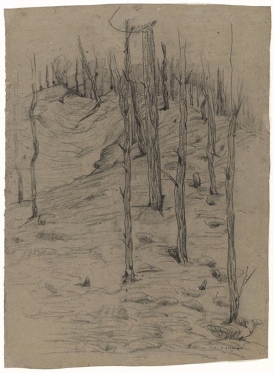 Bare Pine Trunks on Sloping Terrain by Maria Johanna Goemans