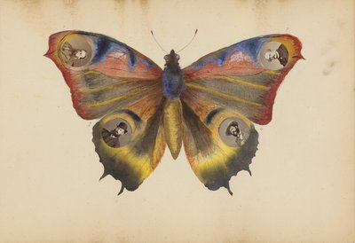 The Madame B Album by Marie Blanche Hennelle Fournier