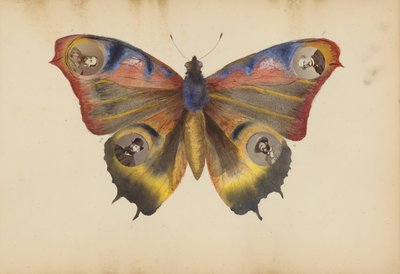 The Madame B Album, 1870s by Marie Blanche Hennelle Fournier
