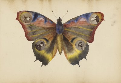 The Madame B Album by Marie Blanche Hennelle Fournier