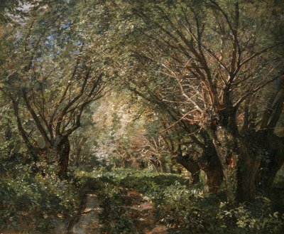 Willow Avenue in Stillfried on the March by Marie Egner