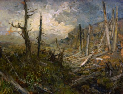Windfall on the Koralpe by Marie Egner