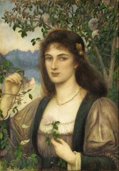 The Rose from Armida