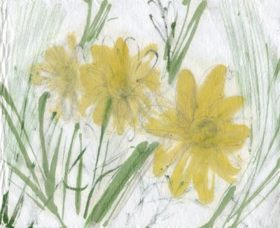 Daisies, 2020 by Marina Falco