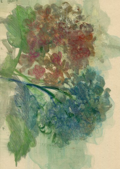 Hydrangeas, 2022 by Marina Falco