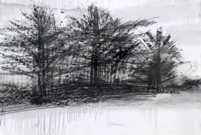 Trees by Marina Falco