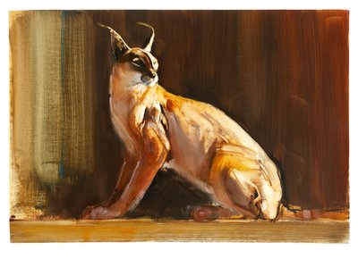 Arabian Caracal, 2010 by Mark Adlington
