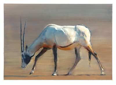 Arabian Oryx by Mark Adlington