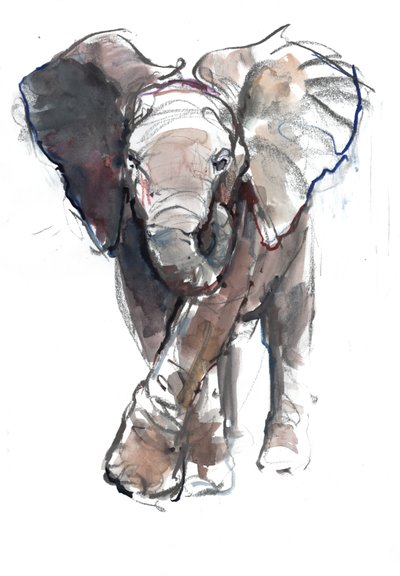 Baby Charge by Mark Adlington
