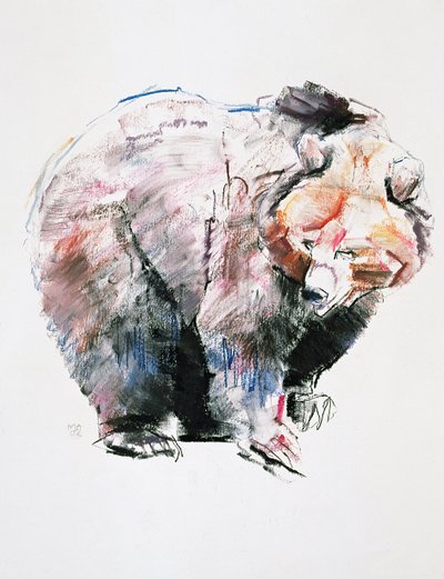 Bear by Mark Adlington