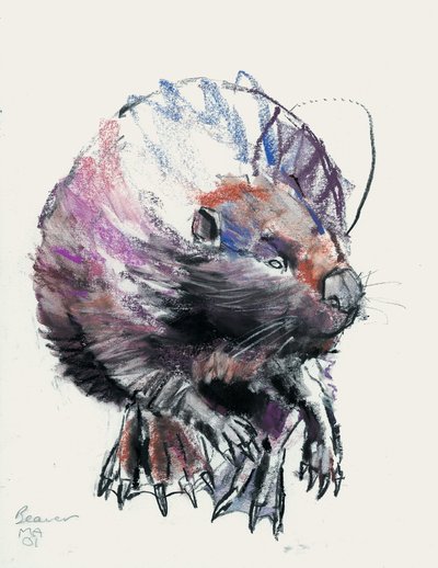 Beaver, 2001 by Mark Adlington