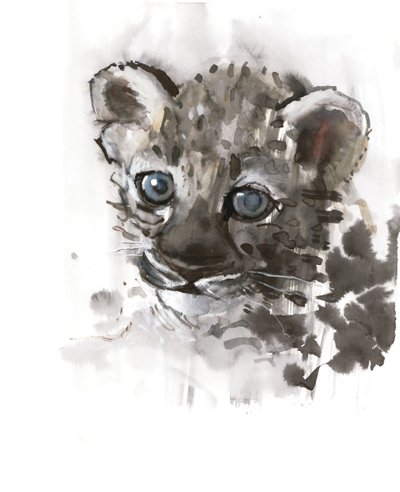 Blue Eyes (Arabian Leopard Cub), 2008 by Mark Adlington