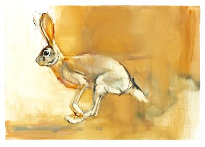 Cape Hare by Mark Adlington
