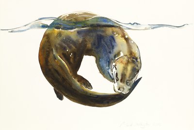 Circle of Life by Mark Adlington