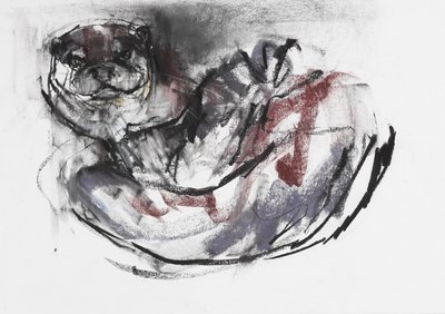 Dog Otter by Mark Adlington