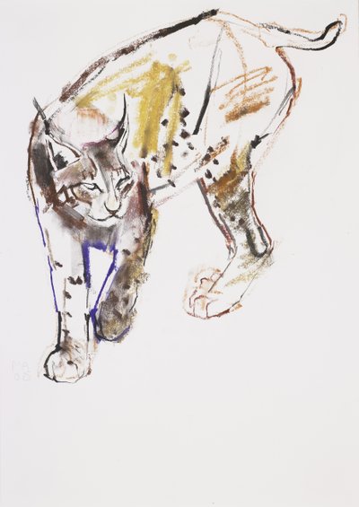 European Lynx by Mark Adlington