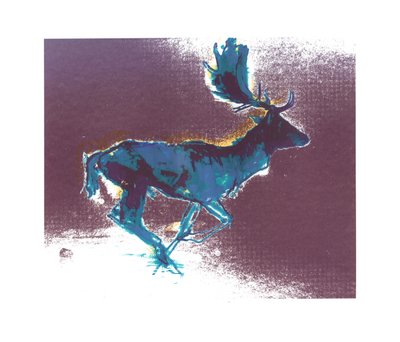 Fallow Buck (Blueyellow Shadow) by Mark Adlington