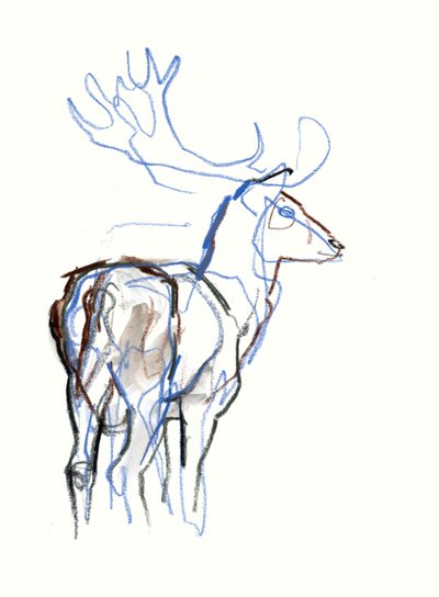 Fallow Buck, 2021 by Mark Adlington