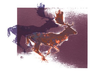 Fallow Bucks (orangelilac), 2015 by Mark Adlington