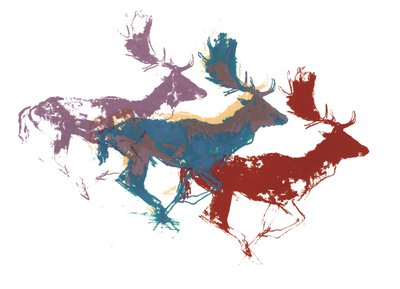 Fallow Bucks (three) by Mark Adlington
