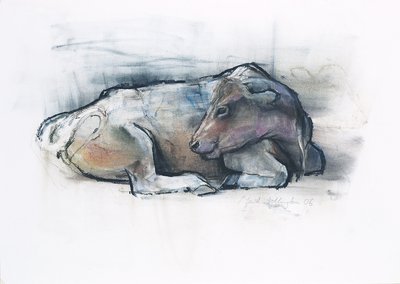 Galloway, 2006 by Mark Adlington