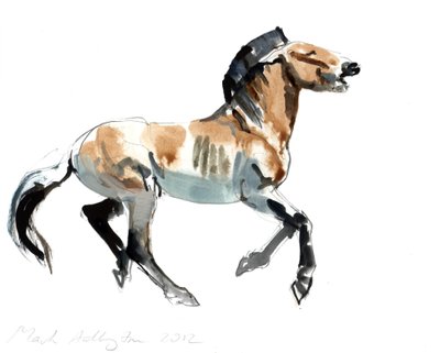 Greek (Przewalski) by Mark Adlington