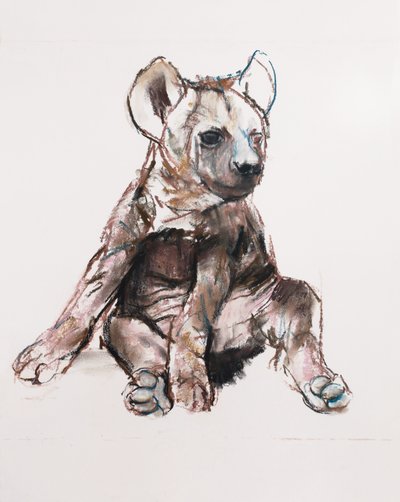 Hyaena Pup (sitting up) by Mark Adlington
