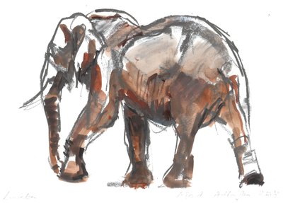 Loisaba Conservancy by Mark Adlington