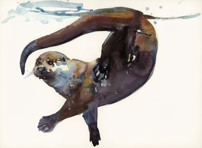 Otter Study II - 