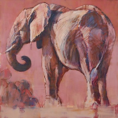 Pink by Mark Adlington