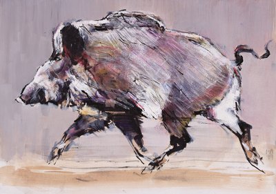 Running Boar by Mark Adlington