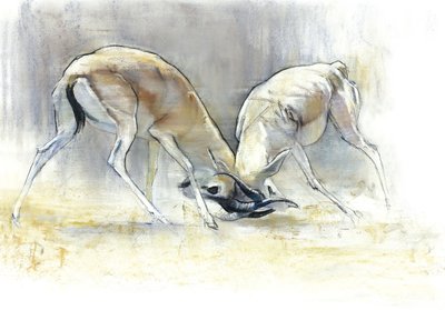 Sand Gazelles, 2009 by Mark Adlington