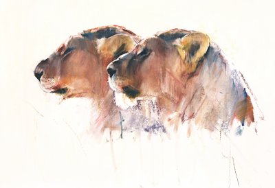 Sisters, Etosha, 2017 by Mark Adlington