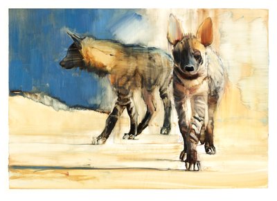 Striped Hyaenas by Mark Adlington
